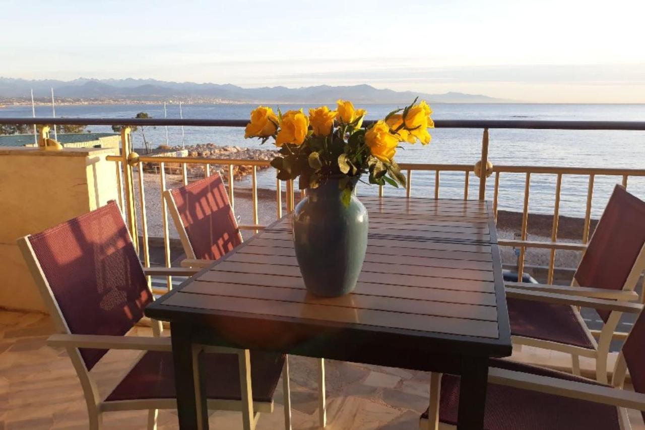Seafront One Bedroom Apartment With A Terrasse Swimming Pool And A Parking Antibes Eksteriør billede